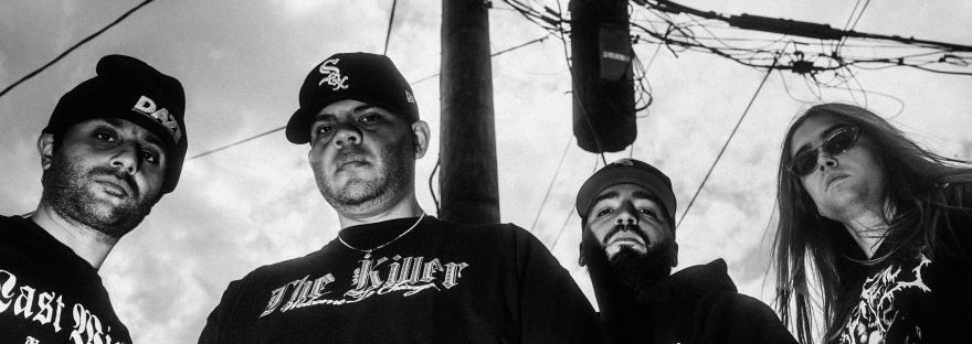 Sector on all Streaming Platforms